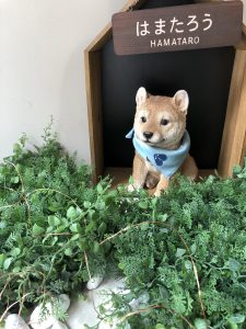 はまたろう てぬはん・ハートマリン