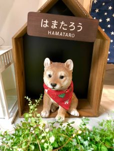 元町店 はまたろう191104