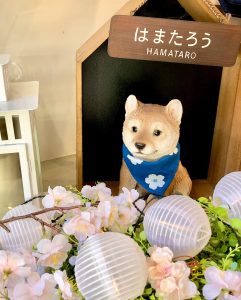横浜元町店はまたろうDP2020/02/20